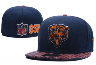 NFL Chicago Bears Cap (9)