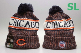 NFL Chicago Bears Beanies (25)