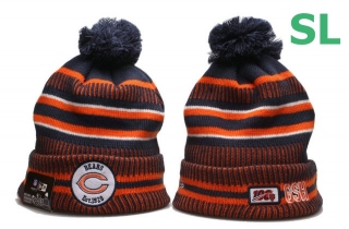 NFL Chicago Bears Beanies (29)