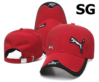 PUMA Snapback Hat (38)