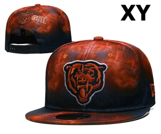NFL Chicago Bears Snapback Hat (149)