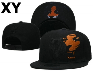 NFL Chicago Bears Snapback Hat (153)