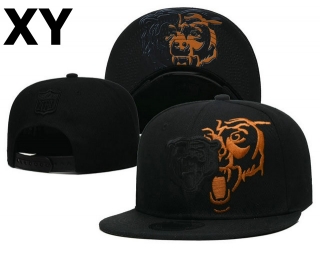 NFL Chicago Bears Snapback Hat (154)
