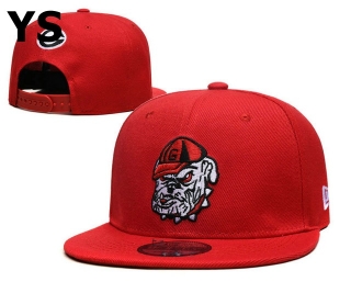 NCAA Florida Gators Snapback Hat (23)