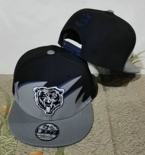 NFL Chicago Bears Snapback Hat (161)