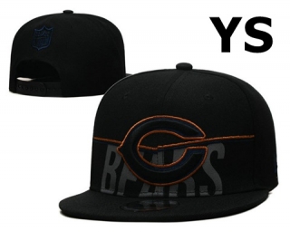 NFL Chicago Bears Snapback Hat (165)