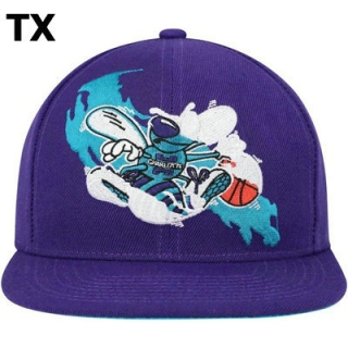 NBA Charlotte Hornets Snapback Hat (99)