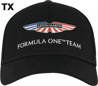 Aston Martin Snapback Hat (1)