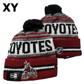 NHL Phoenix Coyotes Beanies (2)