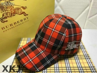 Burberry Snapback Hat AAA Quality (58)