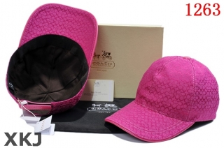 Coach Hat AAA Quality (6)