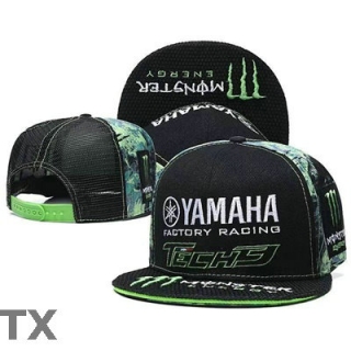 Monster Snapback Hat (24)