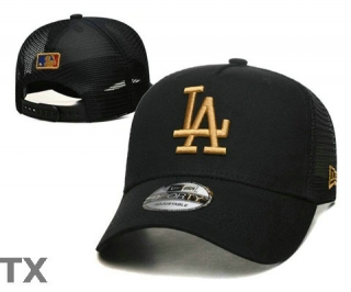 MLB Los Angeles Dodgers Snapback Hat (411)