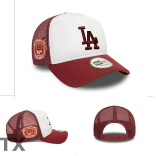 MLB Los Angeles Dodgers Snapback Hat (420)
