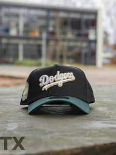 MLB Los Angeles Dodgers Snapback Hat (421)