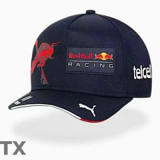 Red Bull Snapback Hat (40)