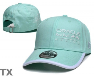 Red Bull Snapback Hat (43)