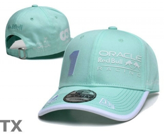 Red Bull Snapback Hat (44)