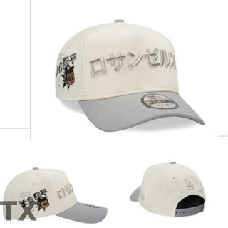 MLB Los Angeles Dodgers Snapback Hat (435)