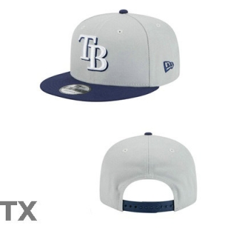 MLB Tampa Bay Rays Snapback Hat (19)