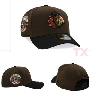 NHL Chicago Blackhawks Snapback Hat (5)