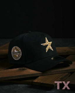 NHL Dallas Stars Snapback Hat (1)