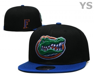 NCAA Florida Gators Snapback Hat (31)