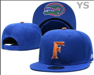 NCAA Florida Gators Snapback Hat (32)