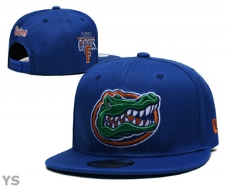 NCAA Florida Gators Snapback Hat (33)