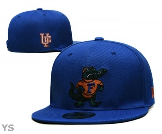NCAA Florida Gators Snapback Hat (34)
