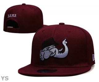 NCAA Snapback Hat (1)