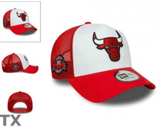 NBA Chicago Bulls Snapback Hat (2)
