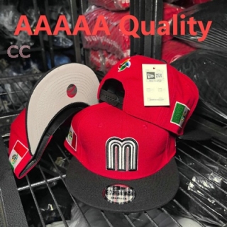 Mexico Snapback Hat (14)