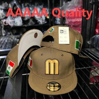 Mexico Snapback Hat (21)