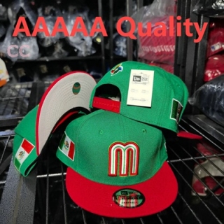 Mexico Snapback Hat (22)