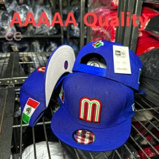 Mexico Snapback Hat (24)