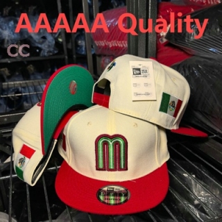 Mexico Snapback Hat (25)