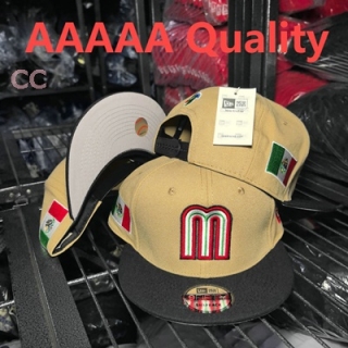Mexico Snapback Hat (28)