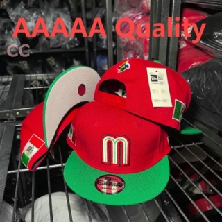 Mexico Snapback Hat (30)