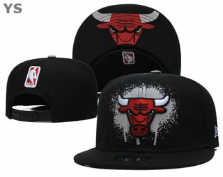 NBA Chicago Bulls Snapback Hat (10)