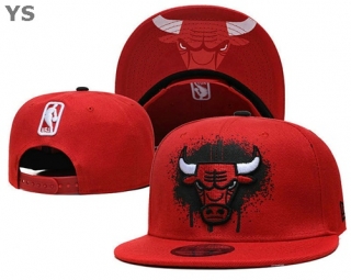 NBA Chicago Bulls Snapback Hat (11)