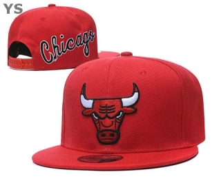 NBA Chicago Bulls Snapback Hat (9)
