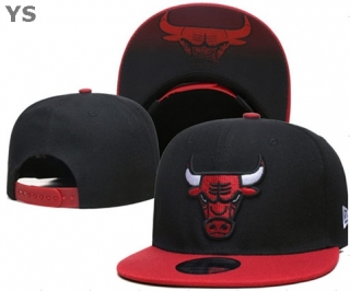 NBA Chicago Bulls Snapback Hat (12)