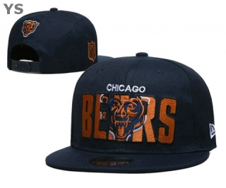 NFL Chicago Bears Snapback Hat (175)