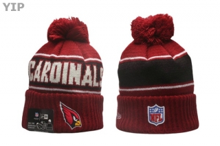 NFL Arizona Cardinals Beanies (44)