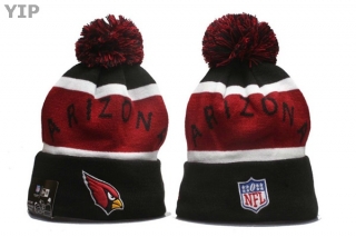 NFL Arizona Cardinals Beanies (45)