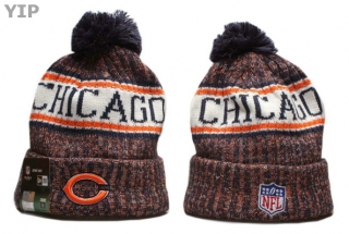 NFL Chicago Bears Beanies (76)