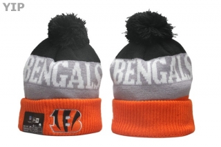 NFL Cincinnati Bengals Beanies (42)