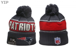 NFL New England Patriots Beanies (133)