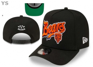NFL Chicago Bears Snapback Hat (178)